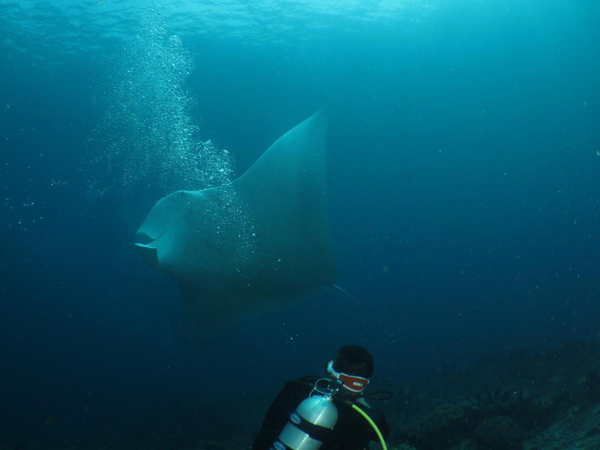 Hamueco Dive Resort Raja Ampat Rabia Extérieur photo