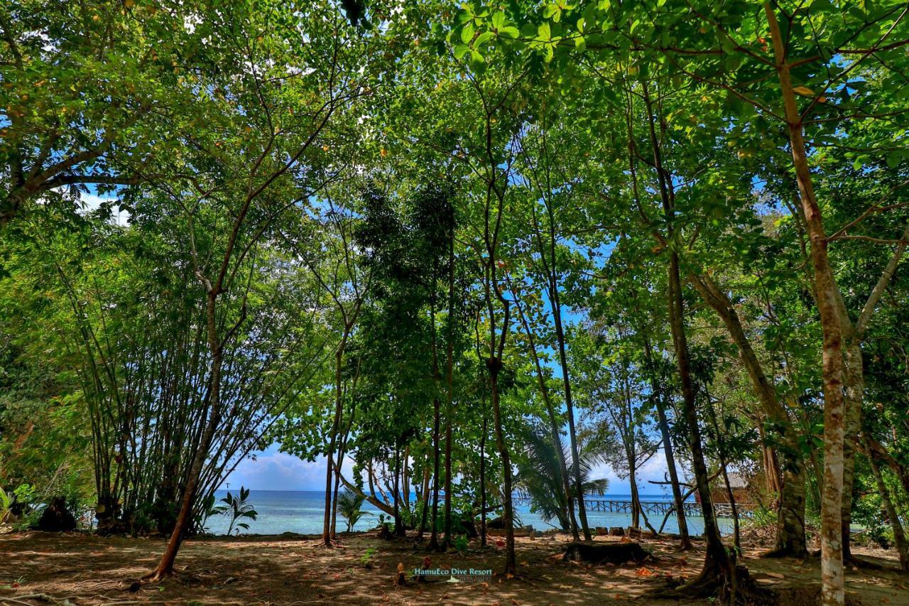 Hamueco Dive Resort Raja Ampat Rabia Extérieur photo