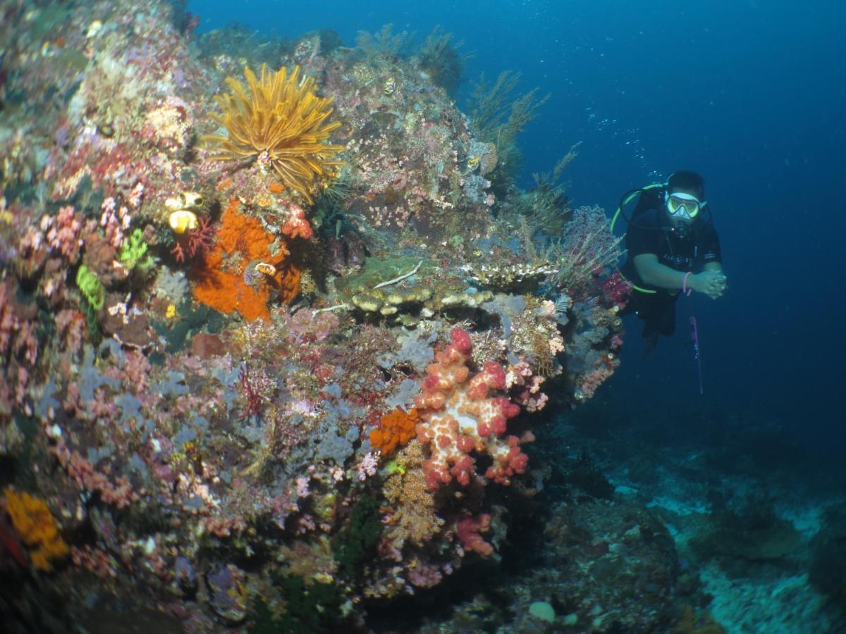 Hamueco Dive Resort Raja Ampat Rabia Extérieur photo